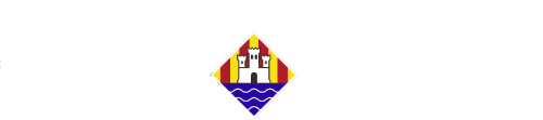 Consell d'Eivissa